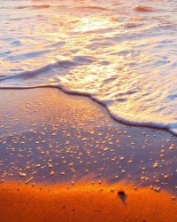 My Beach of Gold