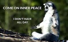 Cultivating Peace and Letting Go